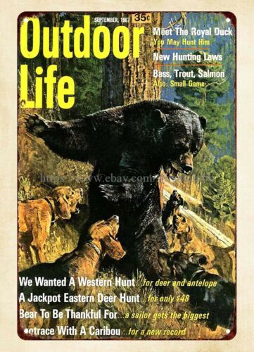 Hunting Dog Outdoor - Decorazione da parete per ufficio 1967