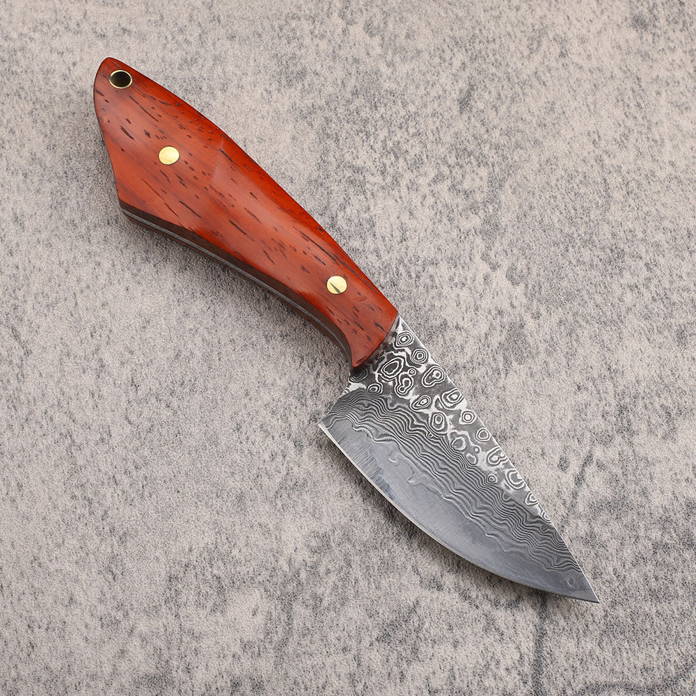 VG10 coltello da caccia in acc - Hunting Camp Outdoor Kitchen recensione e prezzo
