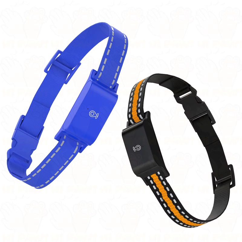 Localizzatore GPS per Cani, Di - Hunting Dog Outdoor recensione e prezzo
