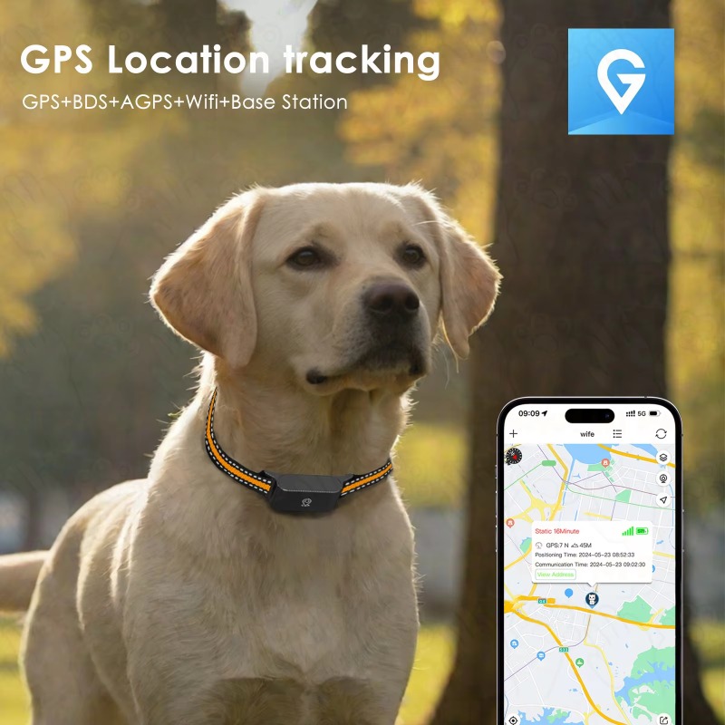 Localizzatore GPS per Cani, Di - Hunting Dog Outdoor recensione e prezzo