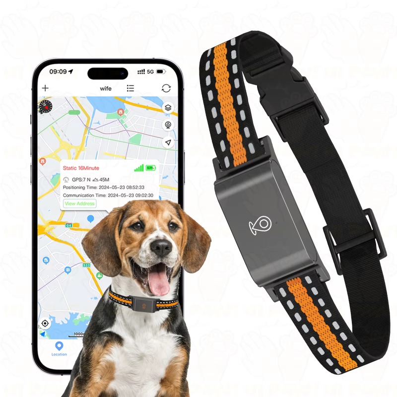 Localizzatore GPS per Cani, Di - Hunting Dog Outdoor recensione e prezzo