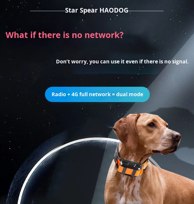 Collare di Posizionamento GPS  - Hunting Dog Outdoor recensione e prezzo
